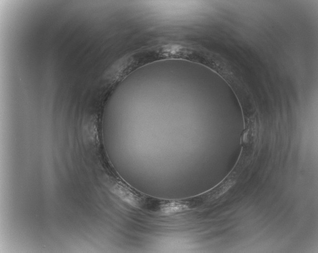 X0000067380754200604031059