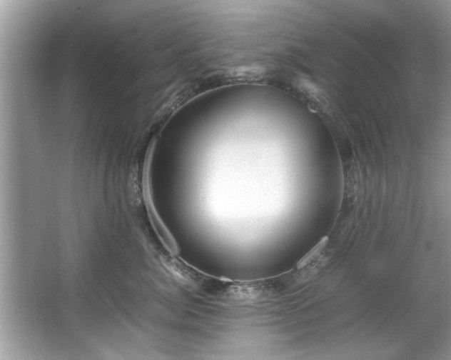 X0000067380764200604031059