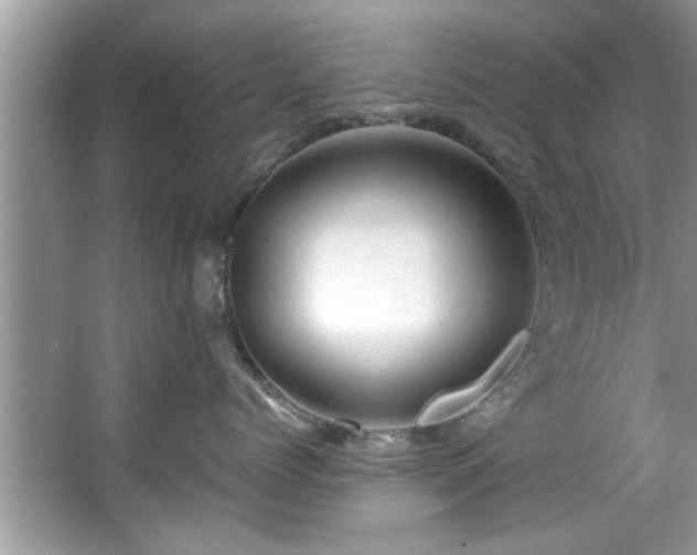 X0000067380768200604031059