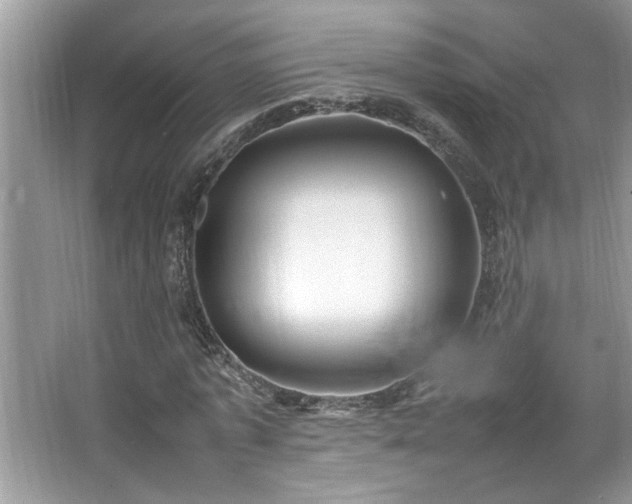 X0000067380773200604031058