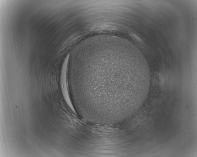 X0000067380774200604031058