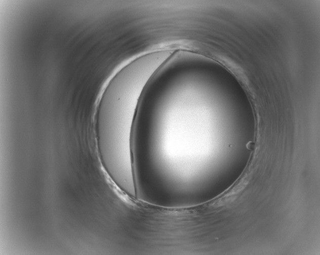 X0000067380816200604031058