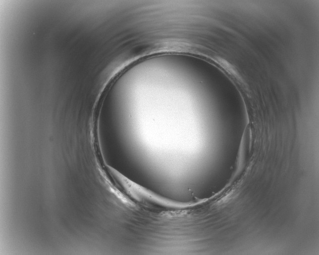 X0000067380846200604031057