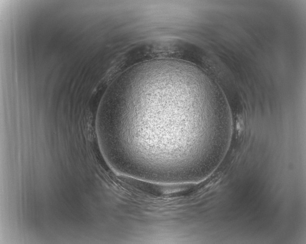 X0000067380867200604031057