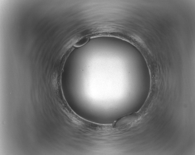 X0000067380873200604031057