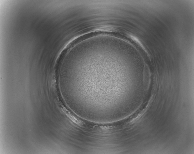 X0000067380923200604031055