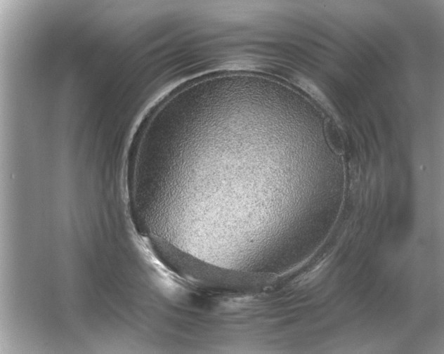 X0000067380939200604031056