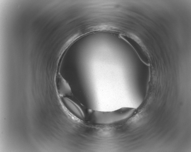 X0000067380946200604031056