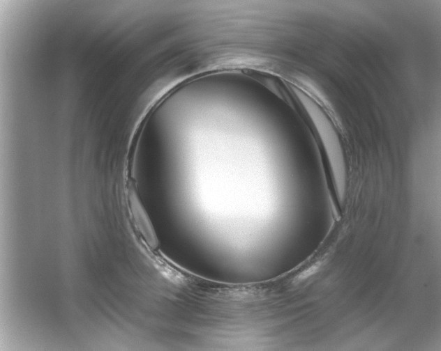 X0000067380948200604031056