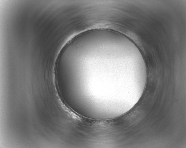 X0000067380950200604031056