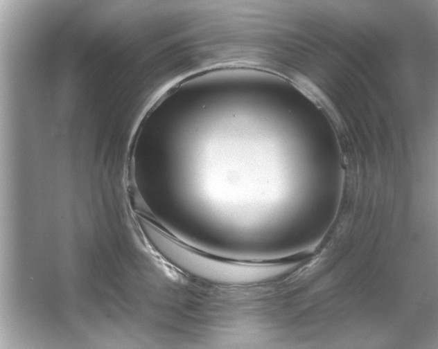X0000067380956200604031056