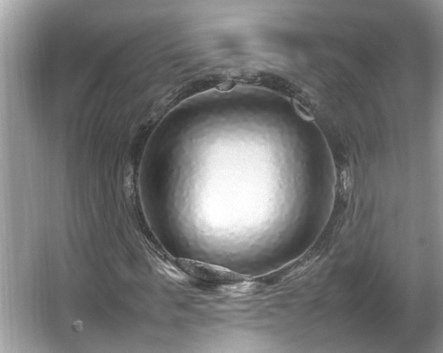 X0000067380963200604031055