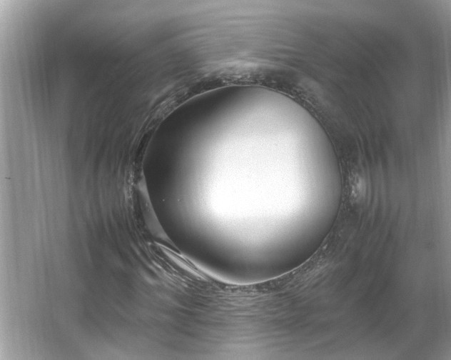 X0000067380964200604031055