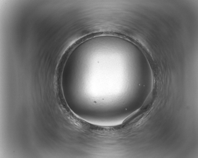 X0000067380975200604031055