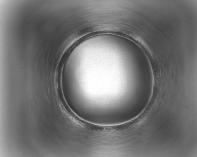 X0000067380983200604031055