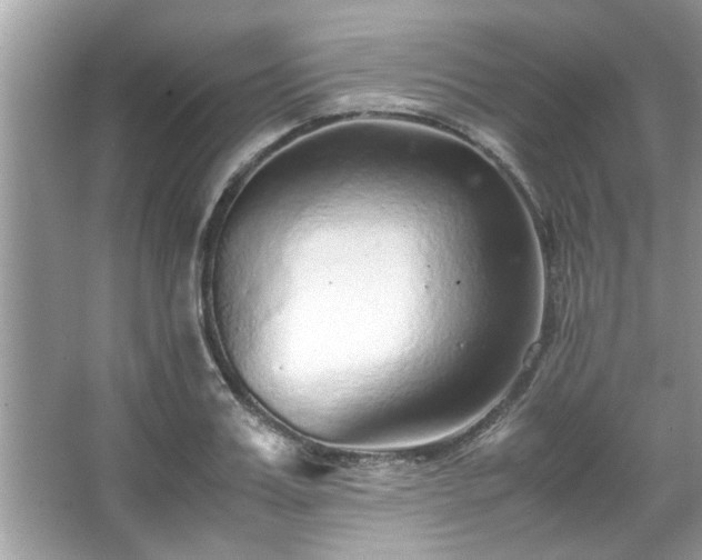 X0000067380987200604031055