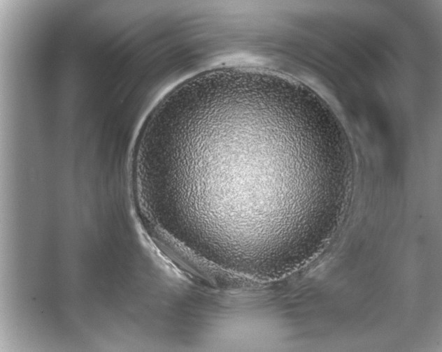 X0000067381008200604031054