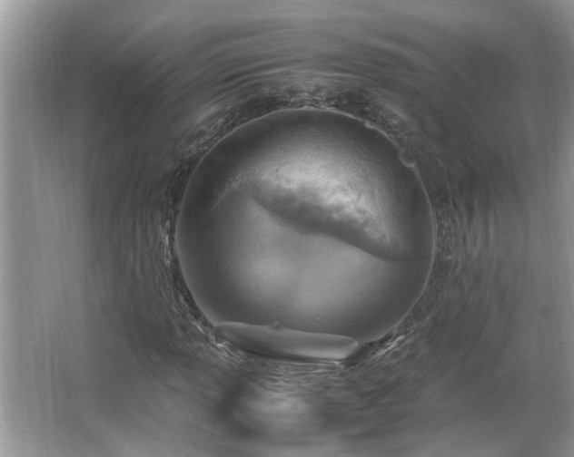 X0000067381013200604031054