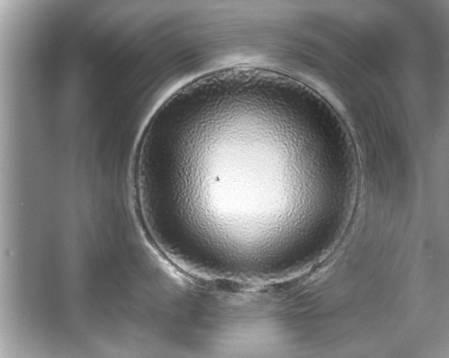 X0000067381056200604031054