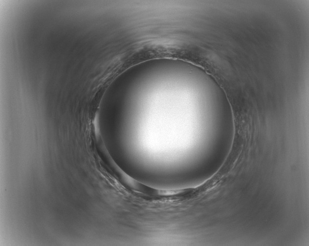 X0000067381061200604031053