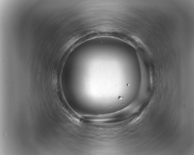 X0000067381065200604031053