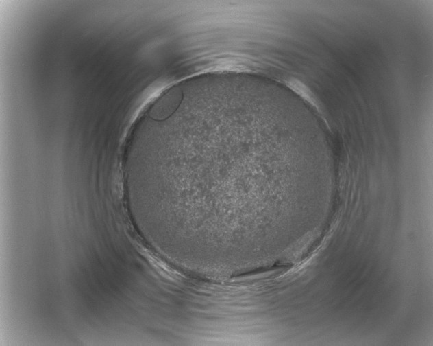 X0000067381067200604031053