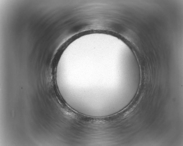 X0000067381070200604031053