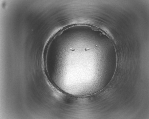 X0000067381080200604031053