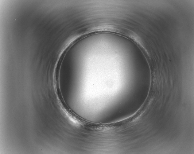 X0000067381082200604031053