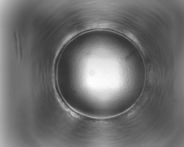 X0000067381088200604031053