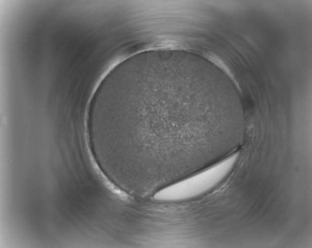 X0000067381091200604031053