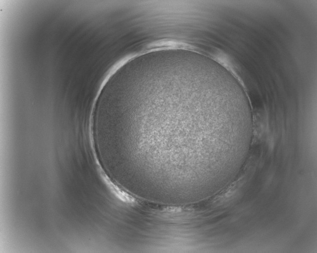 X0000067381098200604031053