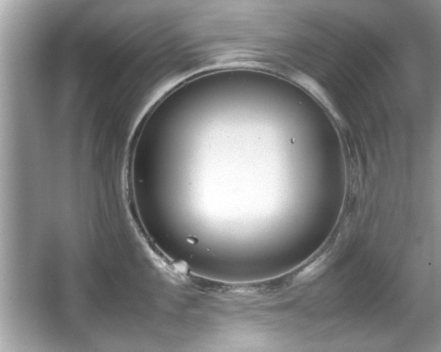 X0000067381101200604031053