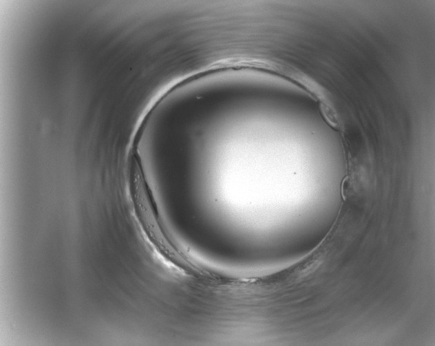 X0000067381102200604031053