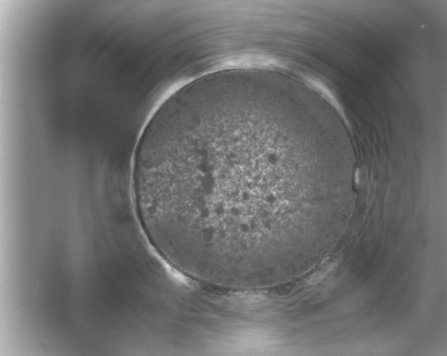 X0000067381103200604031053