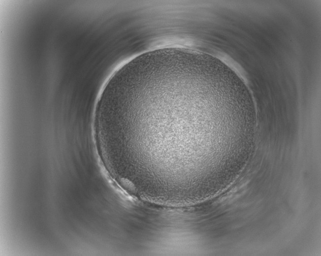 X0000067381104200604031053