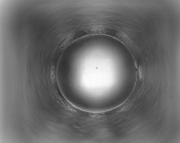 X0000067381107200604031052