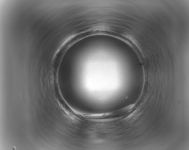 X0000067381115200604031052
