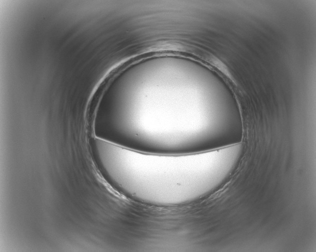 X0000067381116200604031052