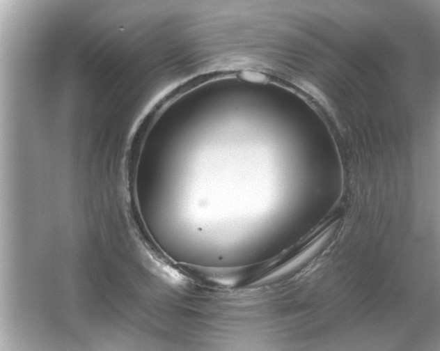 X0000067381120200604031052