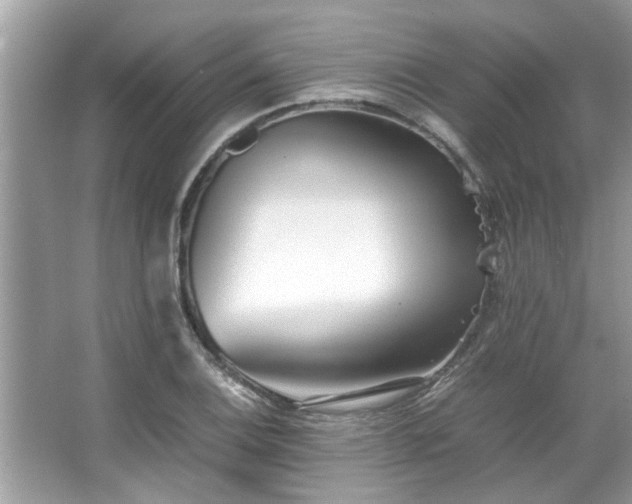 X0000067381124200604031052