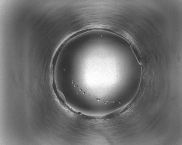 X0000067381132200604031052