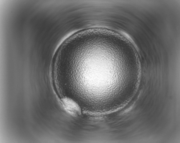 X0000067381149200604031053