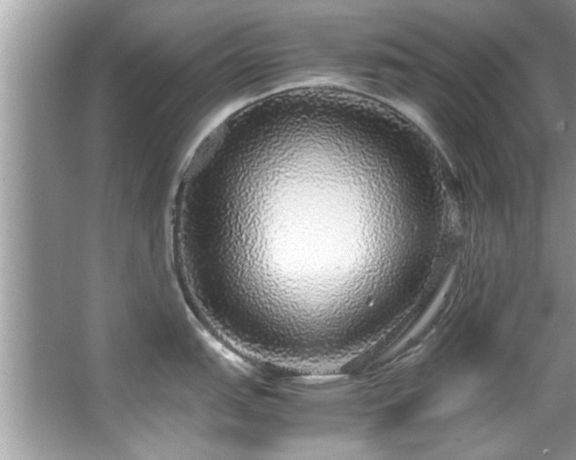 X0000067381151200604031053