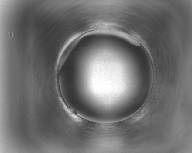 X0000067381152200604031053