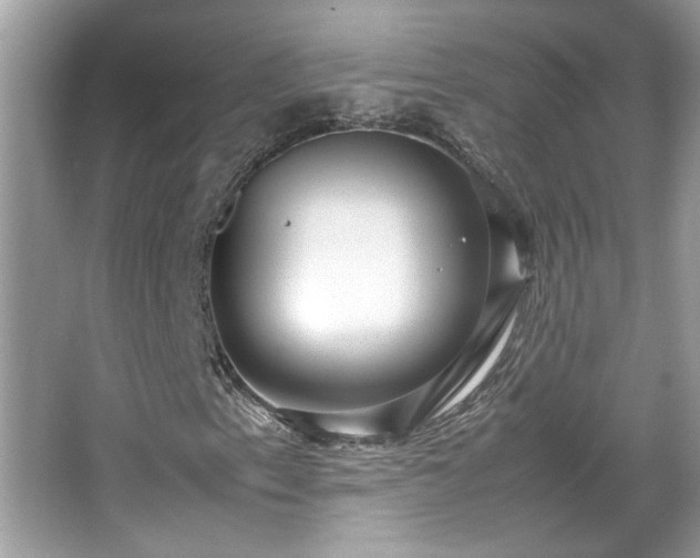 X0000067381153200604031052