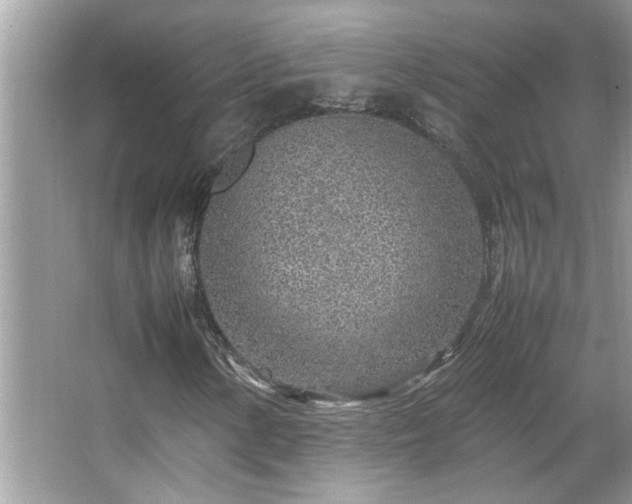 X0000067381154200604031052