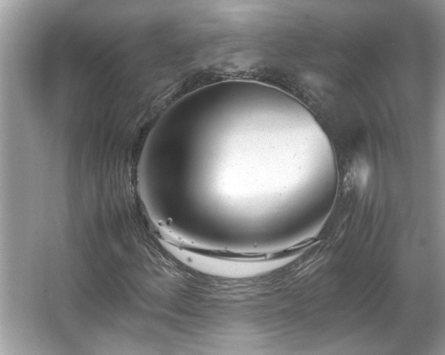 X0000067381156200604031052
