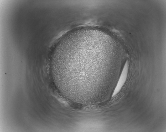 X0000067381159200604031052