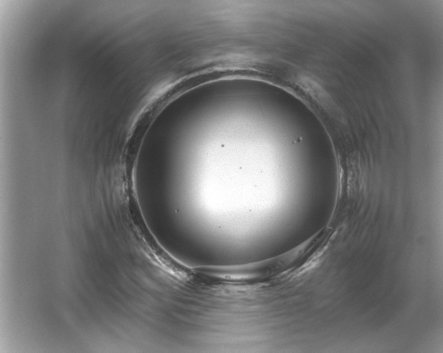 X0000067381164200604031052